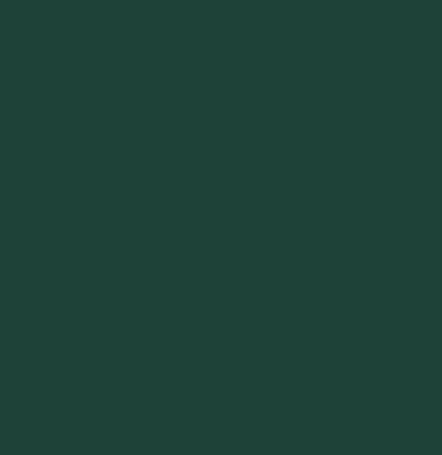 Smalto 4in1 Multimateriale Verde RAL 6005 2,50Litri