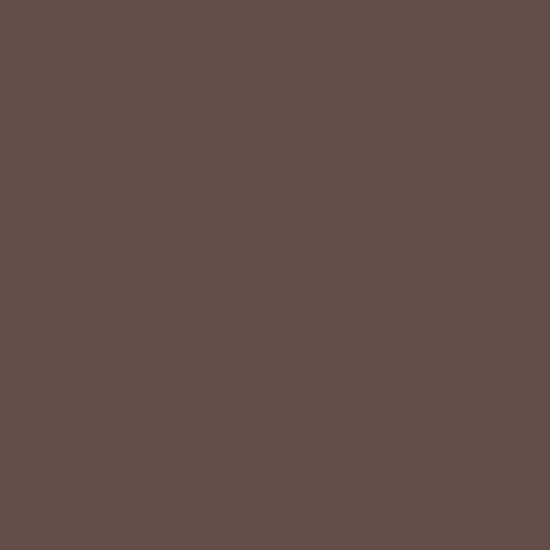 Smalto Colorissim Marrone testa di moro satinato 0,50Litri