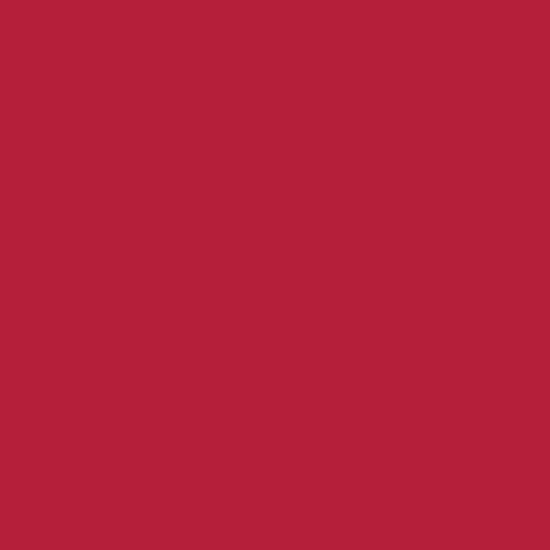 Smalto Colorissim Rosso Satinato 0,50Litri