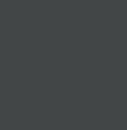 Smalto antiruggine Expert Grigio Antracite 0,50Litri