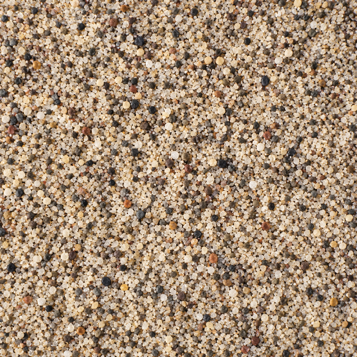 Sabbia Silicea Fine del Fiume Po Bacchi 0/0,6 mm – Sacco 25 kg (RITIRO IN NEGOZIO)