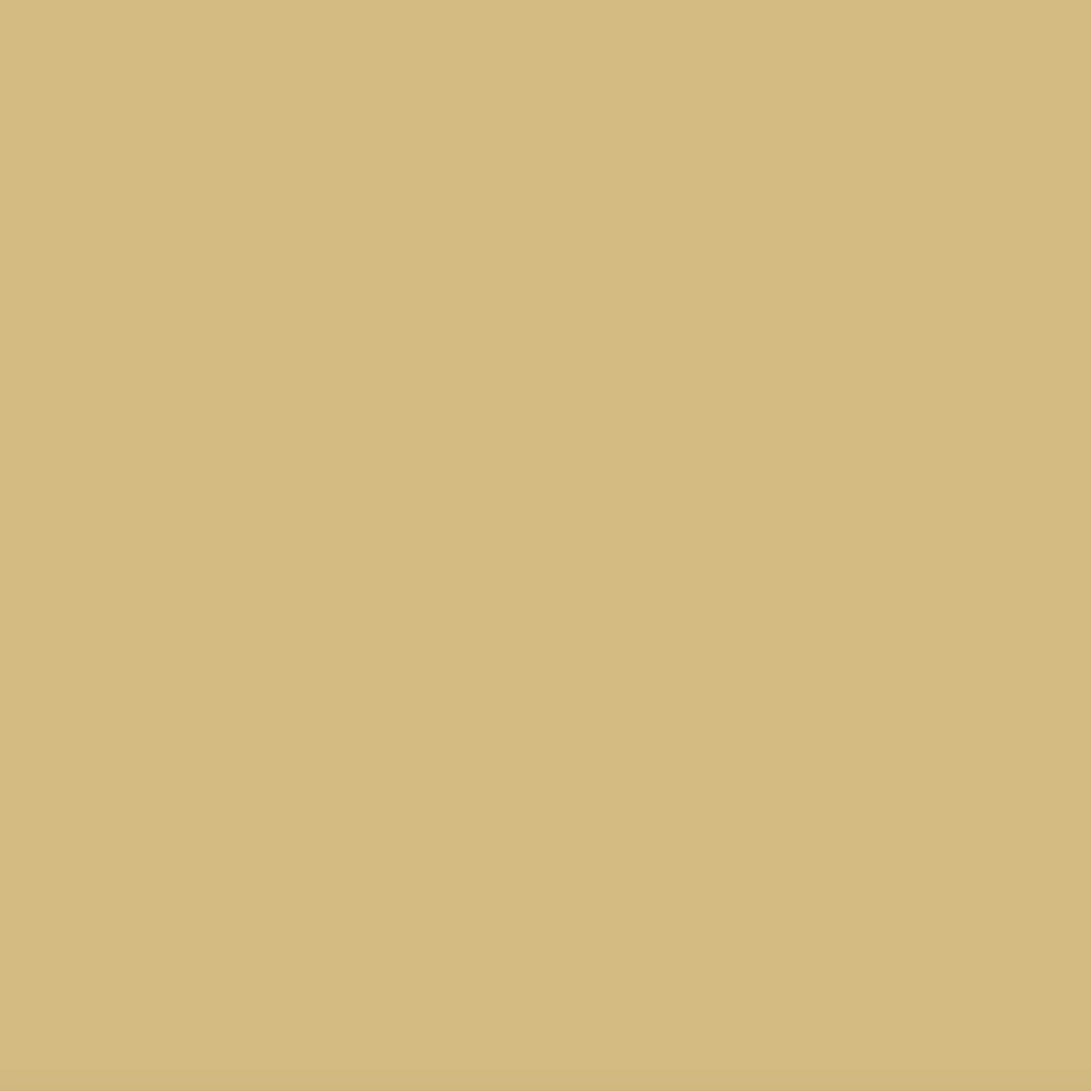 Pittura Decorativa per Interni ad Effetto Materico Kerakoll Decor 4Litri COLORATA KK1-KK150