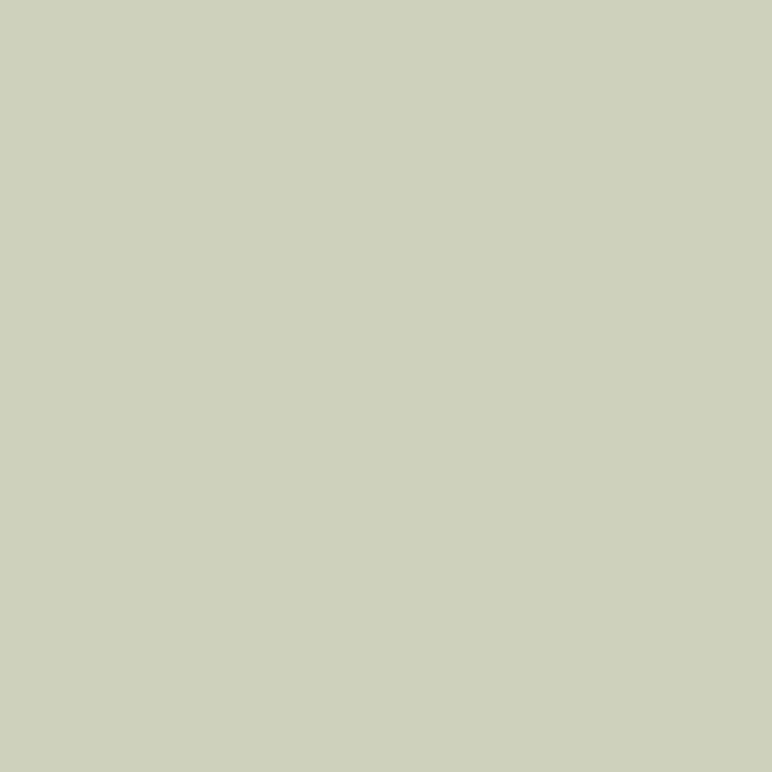 Pittura Decorativa per Interni ad Effetto Materico Kerakoll Decor 4Litri COLORATA KK1-KK150
