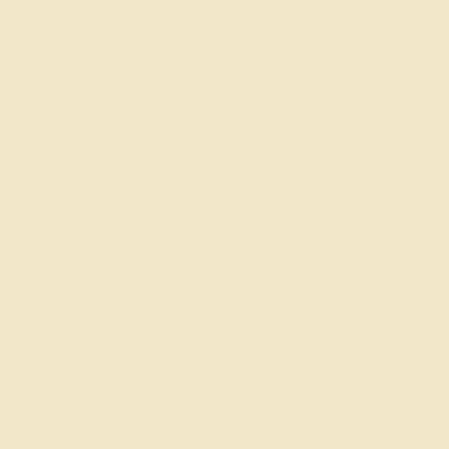 Pittura Decorativa per Interni ad Effetto Materico Kerakoll Decor 4Litri COLORATA KK1-KK150