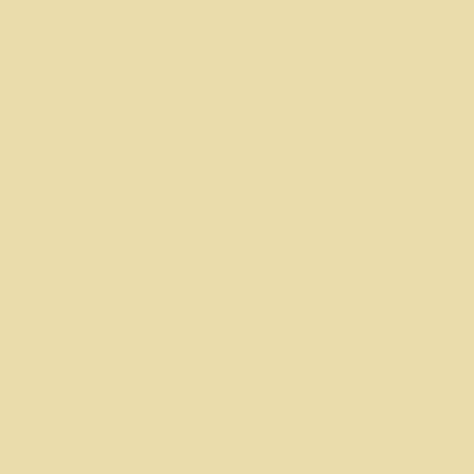 Pittura Decorativa per Interni ad Effetto Materico Kerakoll Decor 4Litri COLORATA KK1-KK150