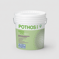 Idropittura per interni anti-inquinamento Fassa Pothos 003 4Litri