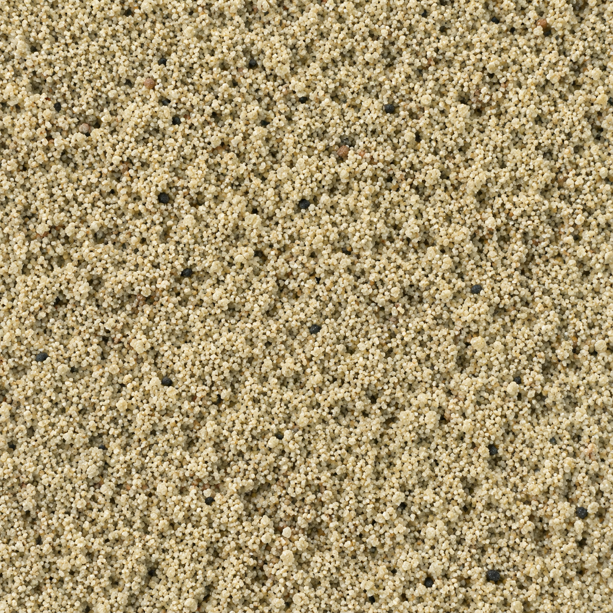 Sabbia Silicea Granita 04 del Fiume Po Bacchi 0/4 mm – Sacco 25 kg (RITIRO IN NEGOZIO)